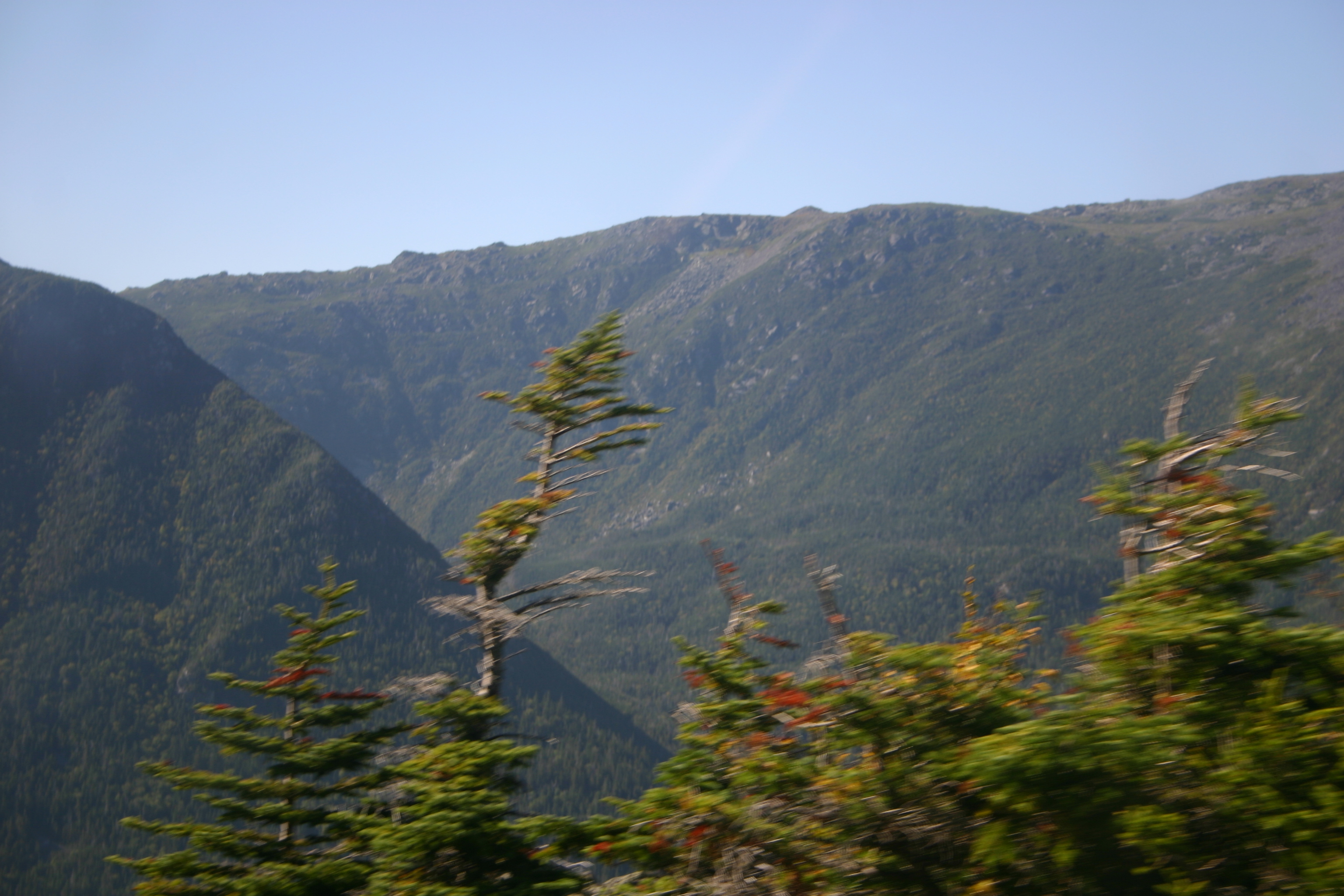 picture 50.